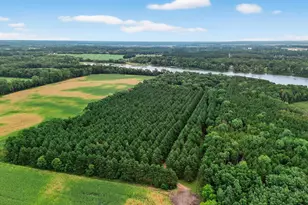 5150 417th St, North Branch, MN 55056 - Photo 31