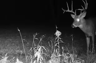 330th St 330th St, Onamia, MN 56359 - Photo 1