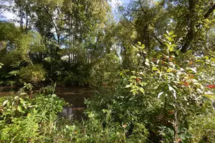 5700 Willow Trail, Shoreview, MN 55126 - Photo 27