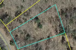 Lot 57 Hanscom Lake Trail Way, Danbury, WI 54830 - Photo 1