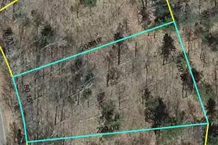 Lot 58 Hanscom Lake Trail Way, Danbury, WI 54830 - Photo 1