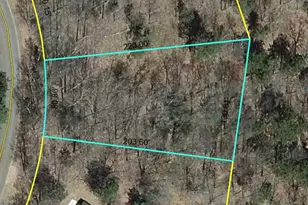Lot 59 Hanscom Lake Trail Way, Danbury, WI 54830 - Photo 1