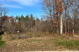 Lot 14 Wilderness Hills Ln, Luck, WI 54853 - Photo 1