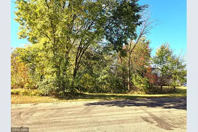 800 Morrison Avenue, Annandale, MN 55302 - Photo 1