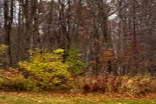 Lot 11 Wilderness Hills Ln, Luck, WI 54853 - Photo 1