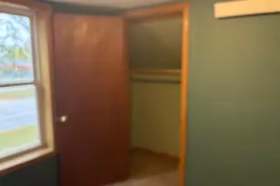 110 E Burlingame St, Ghent, MN 56239 - Photo 23