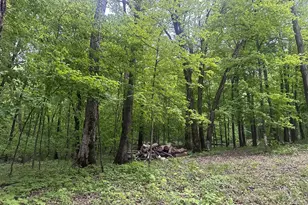 8309 County Rd 19 SE, Rochester, MN 55904 - Photo 25