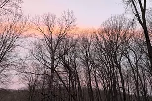 8309 County Rd 19 SE, Rochester, MN 55904 - Photo 23