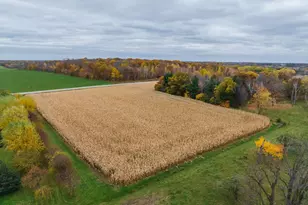 15467 Bison Rd, Swanville, MN 56382 - Photo 31