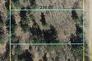 Lot 5 Fox Ridge Pass, Danbury, WI 54830 - Photo 1