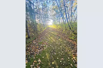 14590 380th Street NE, Middle River, MN 56737 - Photo 17