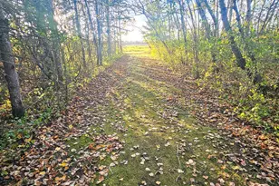 14590 380th St NE, Middle River, MN 56737 - Photo 17