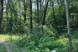 26987 Marias Way, Webster, WI 54893 - Photo 1