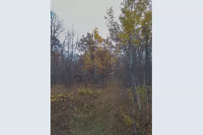 26259 County Road 26, Garrison, MN 56450 - Photo 3