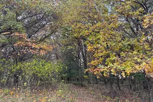 13882 254th Ave NW, Zimmerman, MN 55398 - Photo 27