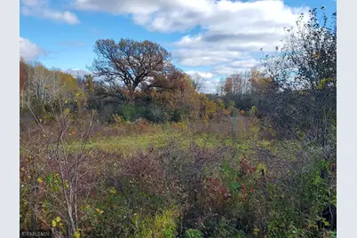 183 Pintail Street, Baldwin, WI 54002 - Photo 5