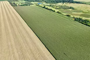 7792 Town Hall Rd NE, Sauk Rapids, MN 56379 - Photo 23