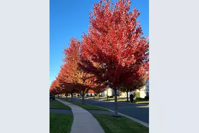7425 Peony Lane N, Maple Grove, MN 55311 - Photo 9