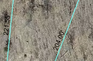 Lot 61 Honey Tree Terrace, Danbury, WI 54830 - Photo 1