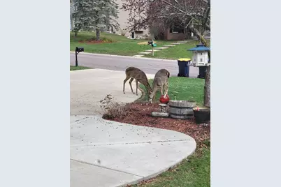 13529 Gossamer Way, Apple Valley, MN 55124 - Photo 35