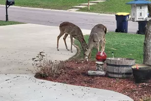 13529 Gossamer Way, Apple Valley, MN 55124 - Photo 35