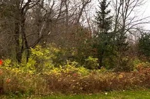 Lot 25 Wilderness Hills Ln, Luck, WI 54853 - Photo 1