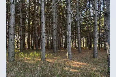 Xxx Emerald Court NE, Carlos, MN 56319 - Photo 3