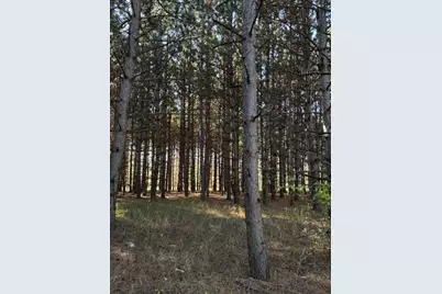 Xxx Emerald Court NE, Carlos, MN 56319 - Photo 7