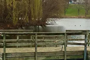 1300 Powderhorn Terrace, Minneapolis, MN 55407 - Photo 21