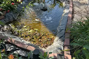 821 Madison Ave, Albert Lea, MN 56007 - Photo 31