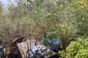 2937 Chippewa Ave, Maplewood, MN 55109 - Photo 27