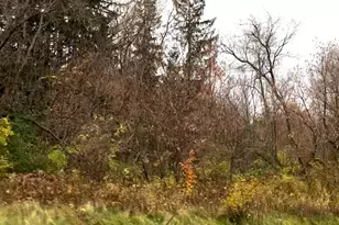Lot 24 Wilderness Hills Ln, Luck, WI 54853 - Photo 1