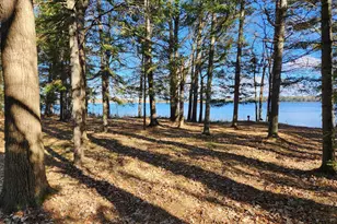 13098 63rd Ave NW, Cass Lake, MN 56633 - Photo 9