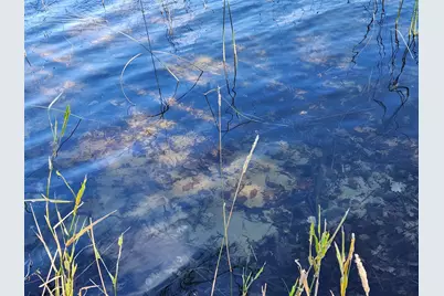 13098 63rd Avenue NW, Cass Lake, MN 56633 - Photo 17