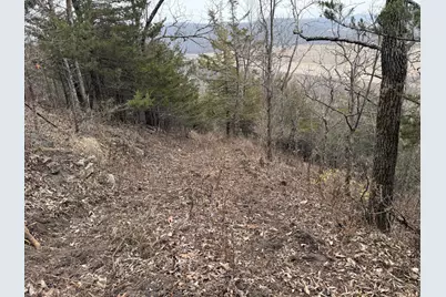 Tbd County 26, Houston, MN 55943 - Photo 7