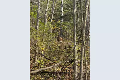 Tbd County 26, Houston, MN 55943 - Photo 31