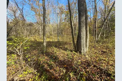 Tbd County 26, Houston, MN 55943 - Photo 39
