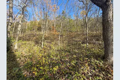 Tbd County 26, Houston, MN 55943 - Photo 33