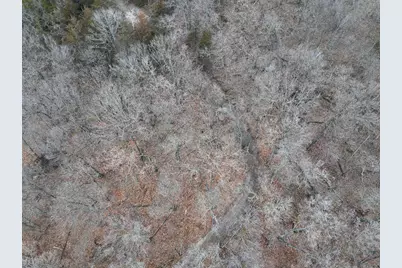 Tbd County 26, Houston, MN 55943 - Photo 5