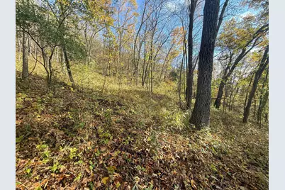 Tbd County 26, Houston, MN 55943 - Photo 37