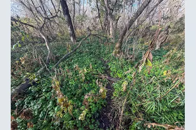 Tbd County 26, Houston, MN 55943 - Photo 25