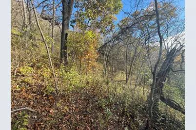 Tbd County 26, Houston, MN 55943 - Photo 35