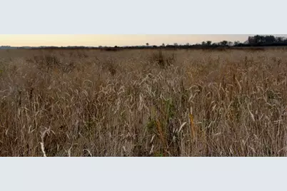 Tbd 121st Street, Lake Wilson, MN 56151 - Photo 13