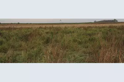 Tbd 121st Street, Lake Wilson, MN 56151 - Photo 3