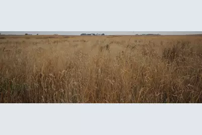 Tbd 121st Street, Lake Wilson, MN 56151 - Photo 5