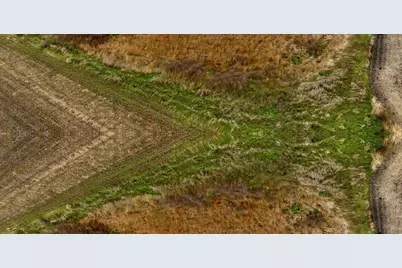 Tbd 121st Street, Lake Wilson, MN 56151 - Photo 9