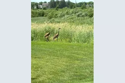 13852 Geneva Avenue N, Hugo, MN 55038 - Photo 43