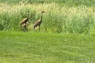 13852 Geneva Ave N, Hugo, MN 55038 - Photo 43