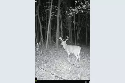 Tbd County Road 3, Holdingford, MN 56340 - Photo 7