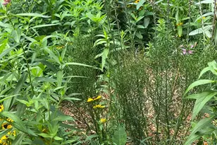 458 Otis Avenue, Saint Paul, MN 55104 - Photo 39